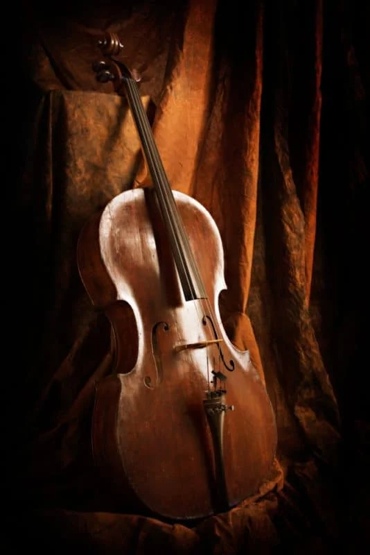Commercial Photography Musician Head Shots Sussex