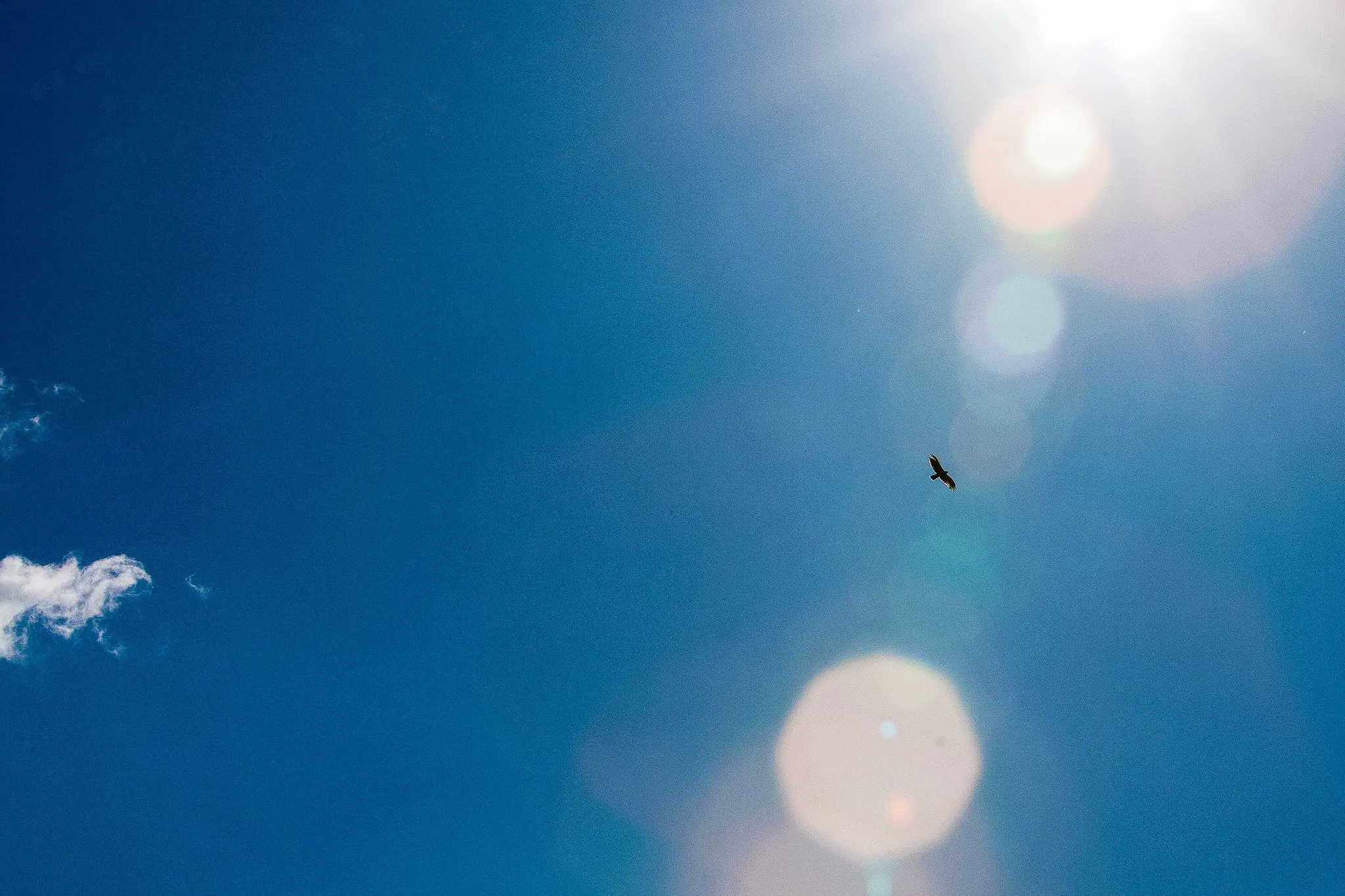 UK Gov COVID Travel Traffic Light System