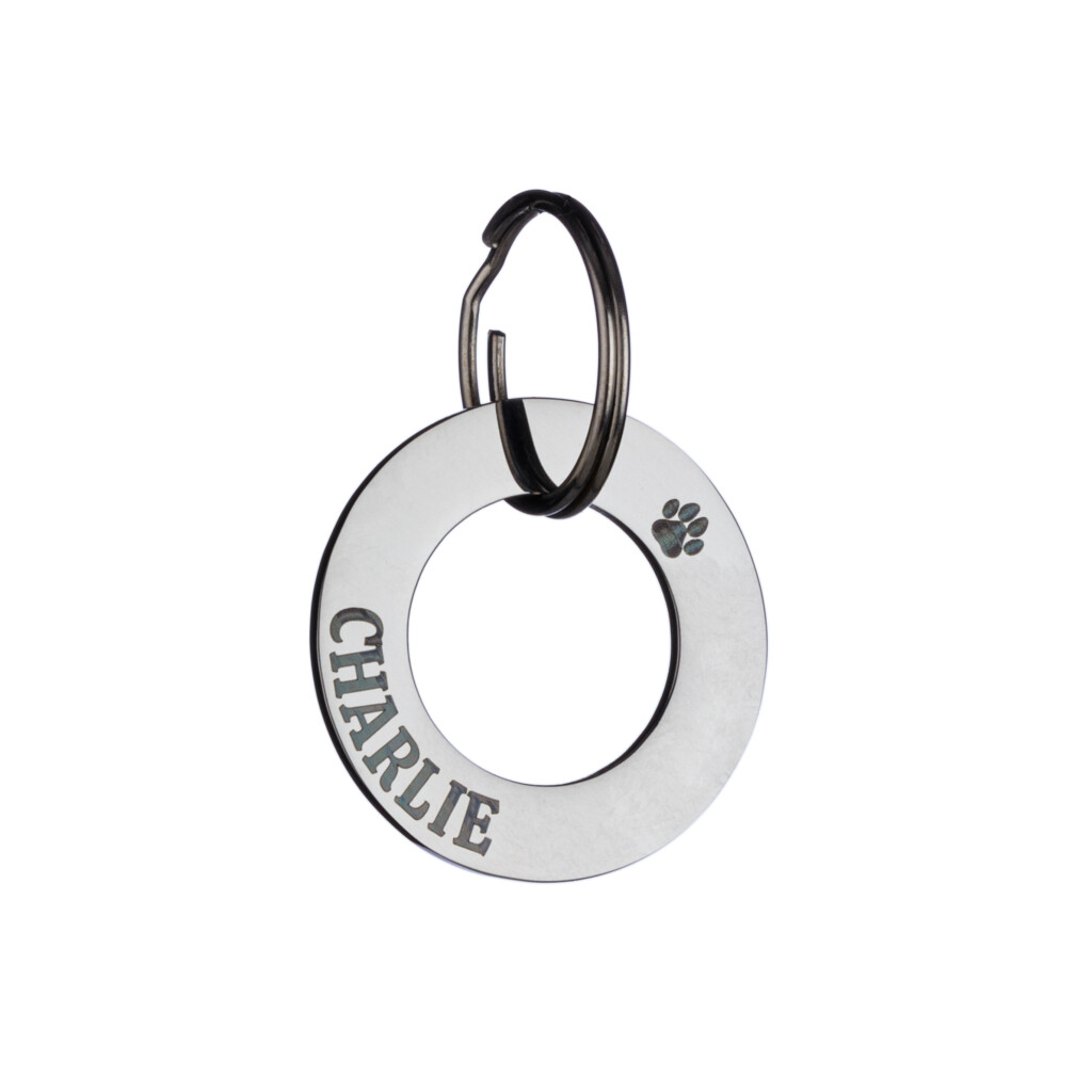 Crawley Shinny Product Photography Studio