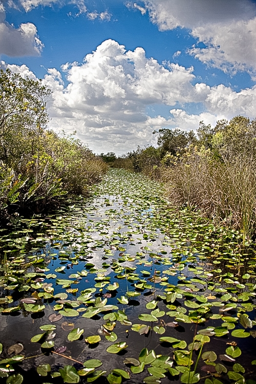 Aerial Photography using Drones Aerial Photography using Drones